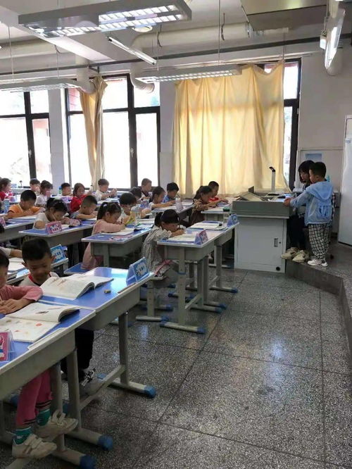 积极组织课后服务，让教育更有温度——一年级课后延时服务与教育咨询活动纪实